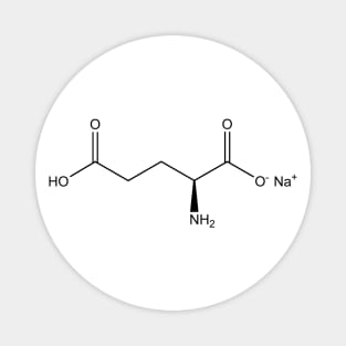 Monosodium Glutamate MSG C5H8NO4Na Magnet